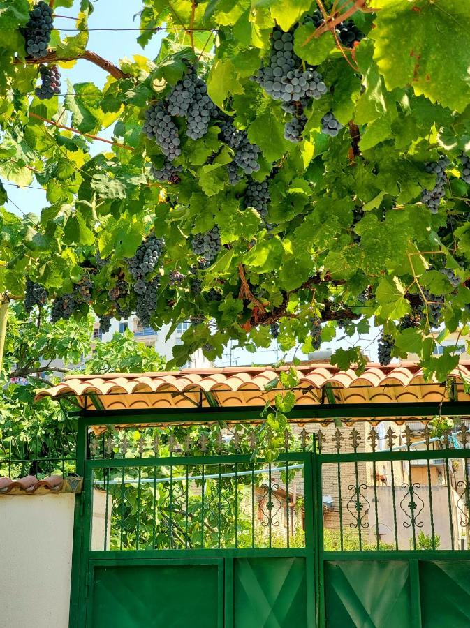 Unique Traditional House, Hosted By J&G Tiran Dış mekan fotoğraf