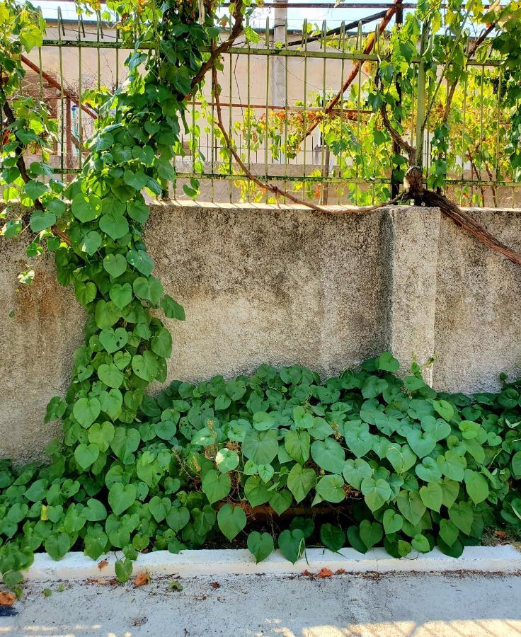 Unique Traditional House, Hosted By J&G Tiran Dış mekan fotoğraf