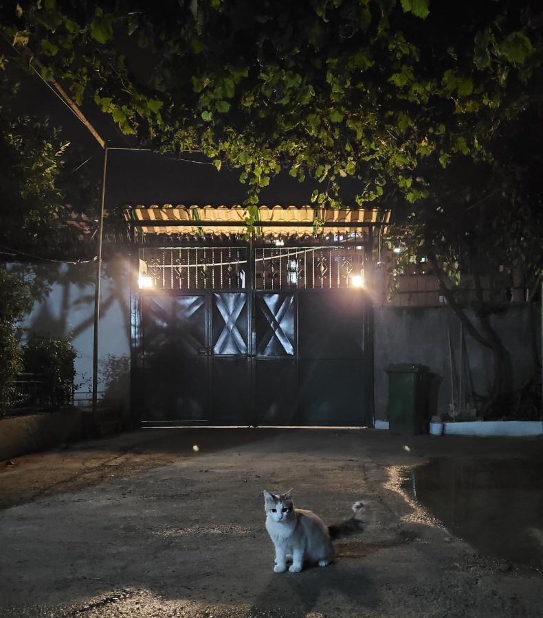 Unique Traditional House, Hosted By J&G Tiran Dış mekan fotoğraf