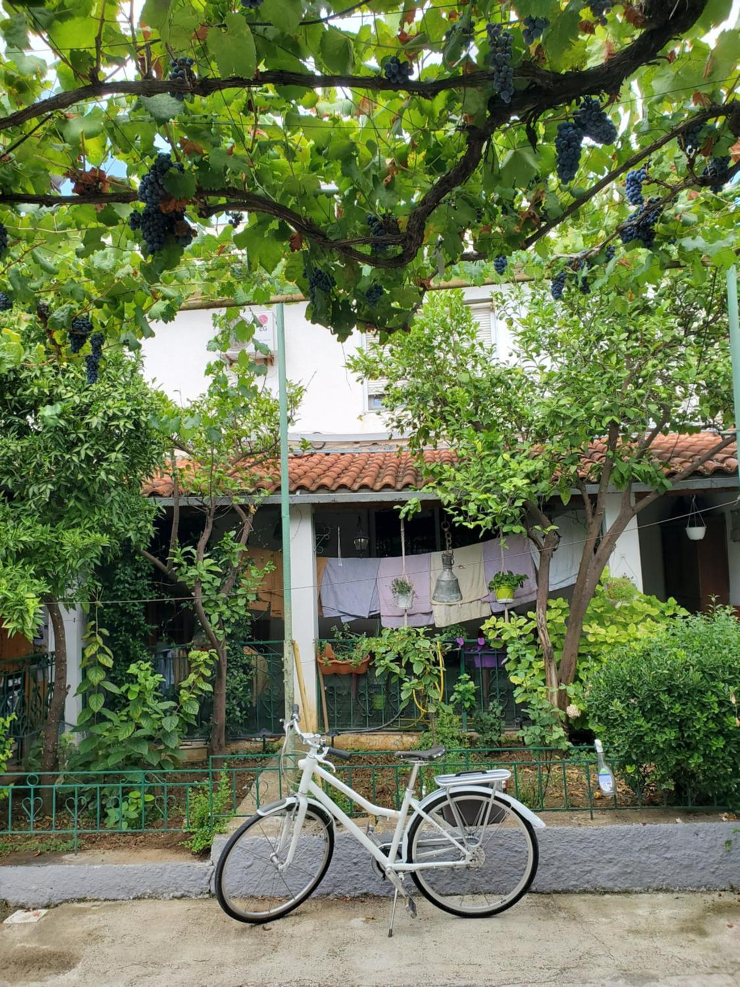 Unique Traditional House, Hosted By J&G Tiran Dış mekan fotoğraf